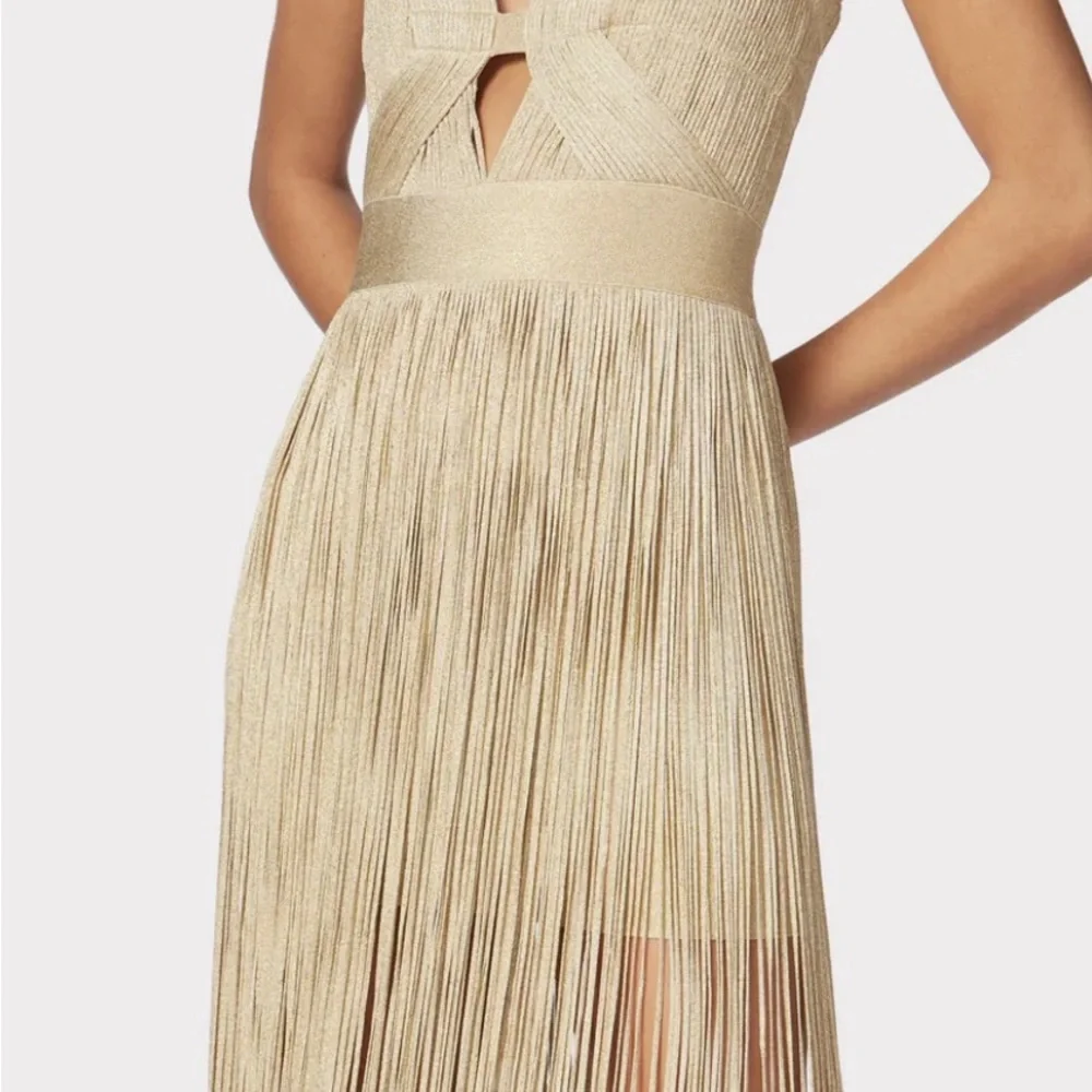 CONTOUR BUST METALLIC FRINGE GOWN Herve Leger Gold NWT - Picture 5 of 7